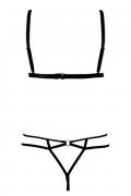 AN Alcyone Set